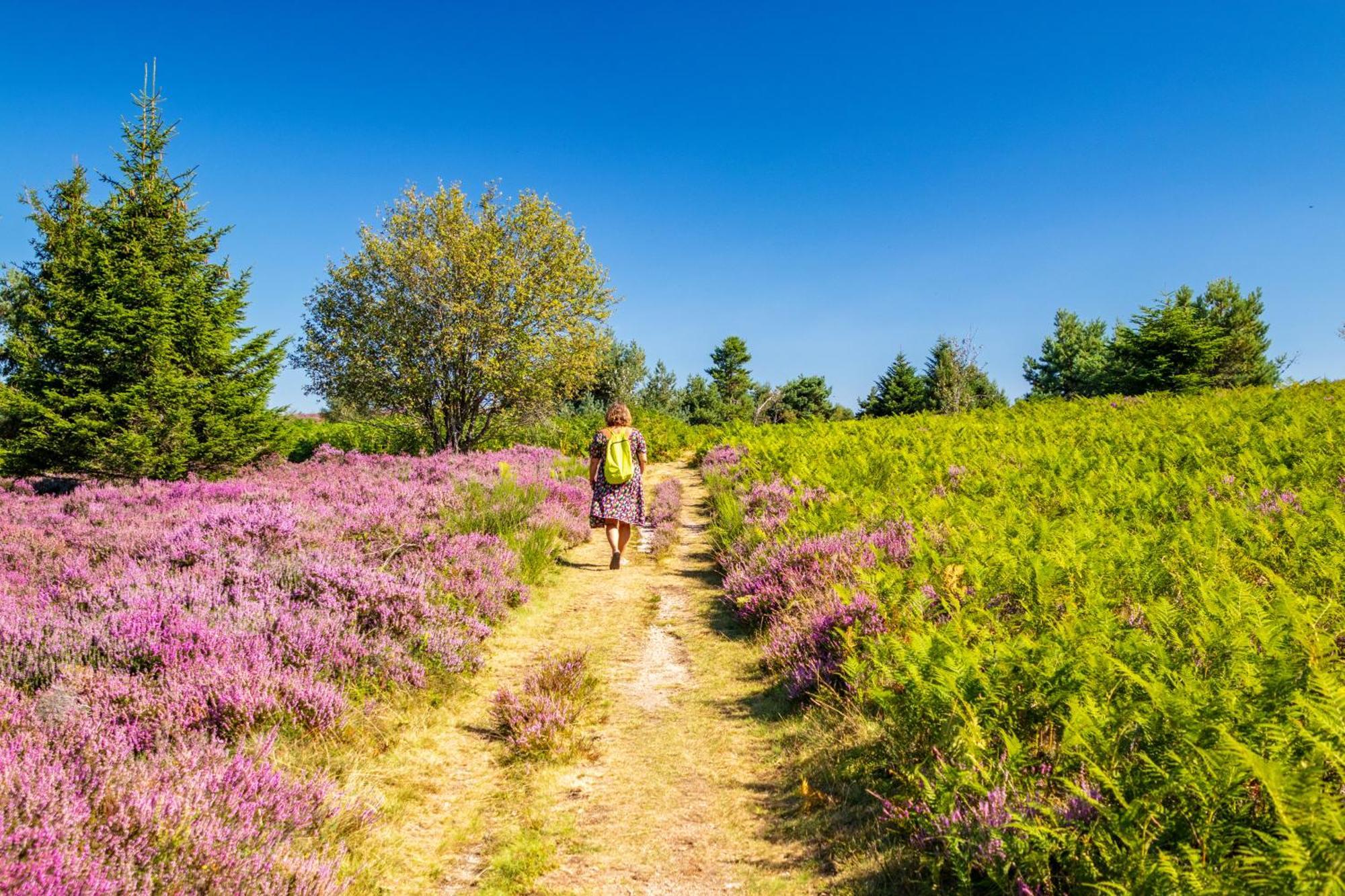 Gites Les Pittoresques Saint-Jean-Saint-Maurice-sur-Loire Екстер'єр фото